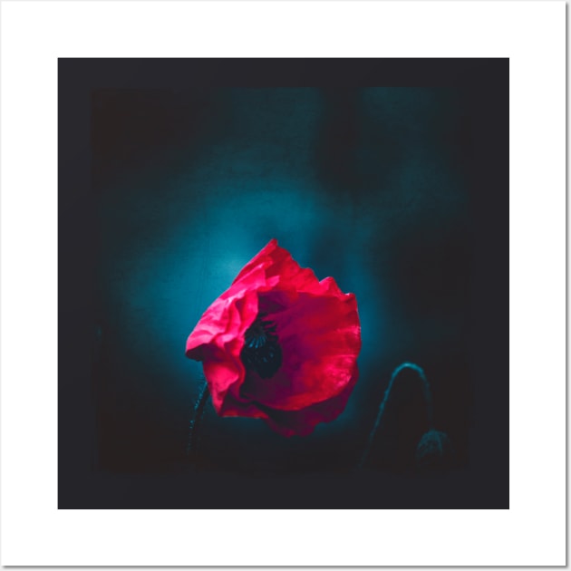 Night Poppy Wall Art by DyrkWyst